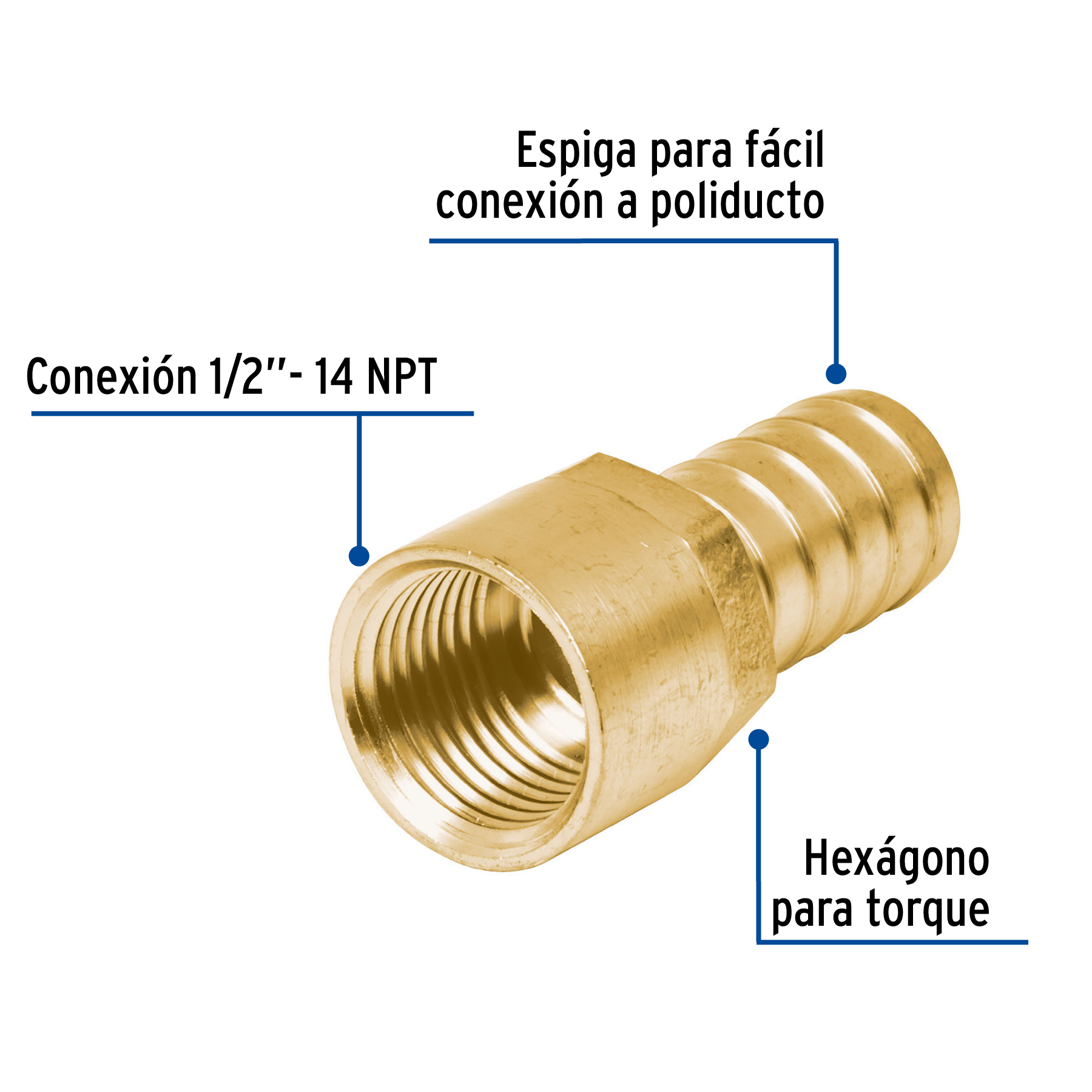 Adaptador hembra de latón 1/2' para manguera, FOSET - Imagen 3
