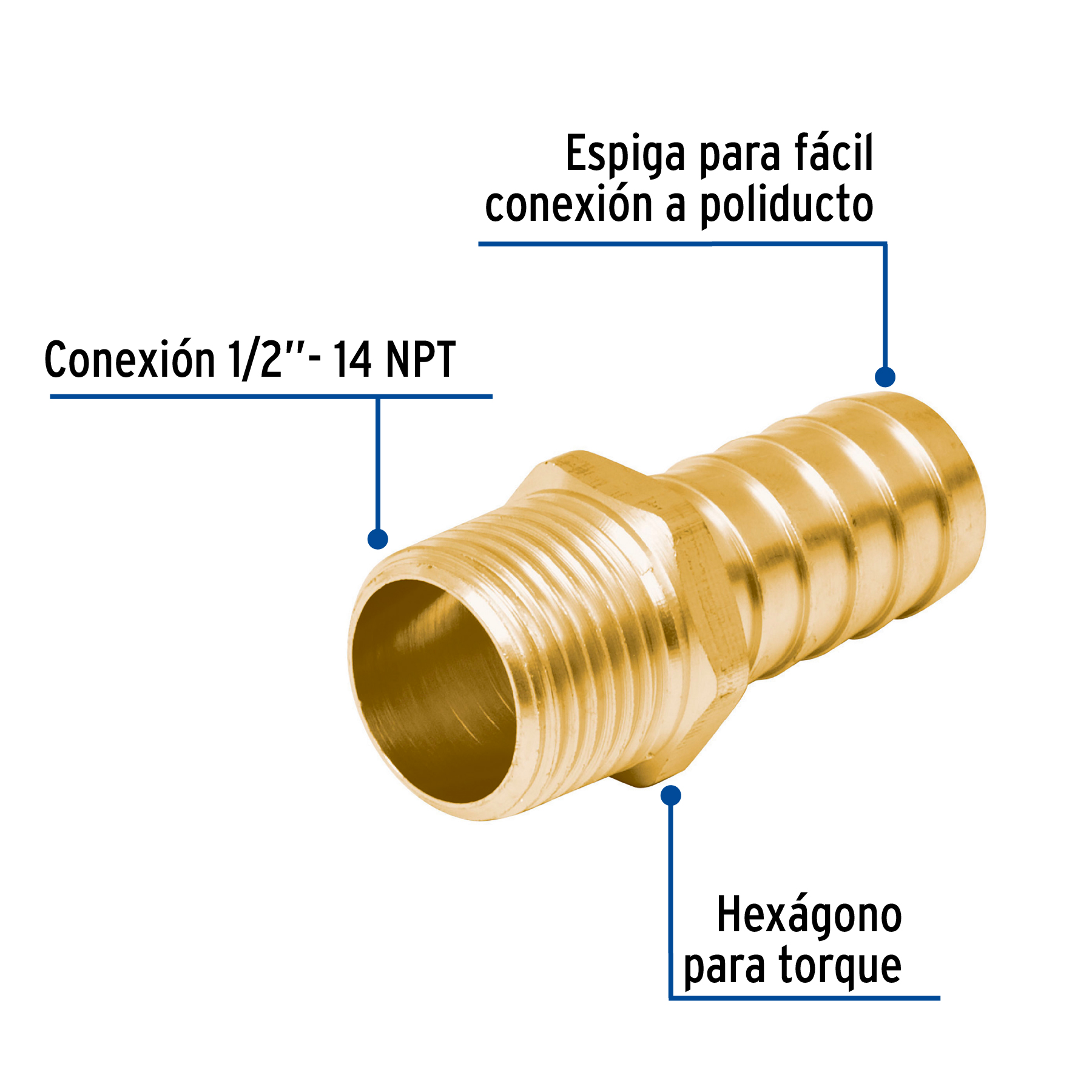 Adaptador macho de latón 1/2' para manguera, FOSET - Imagen 3
