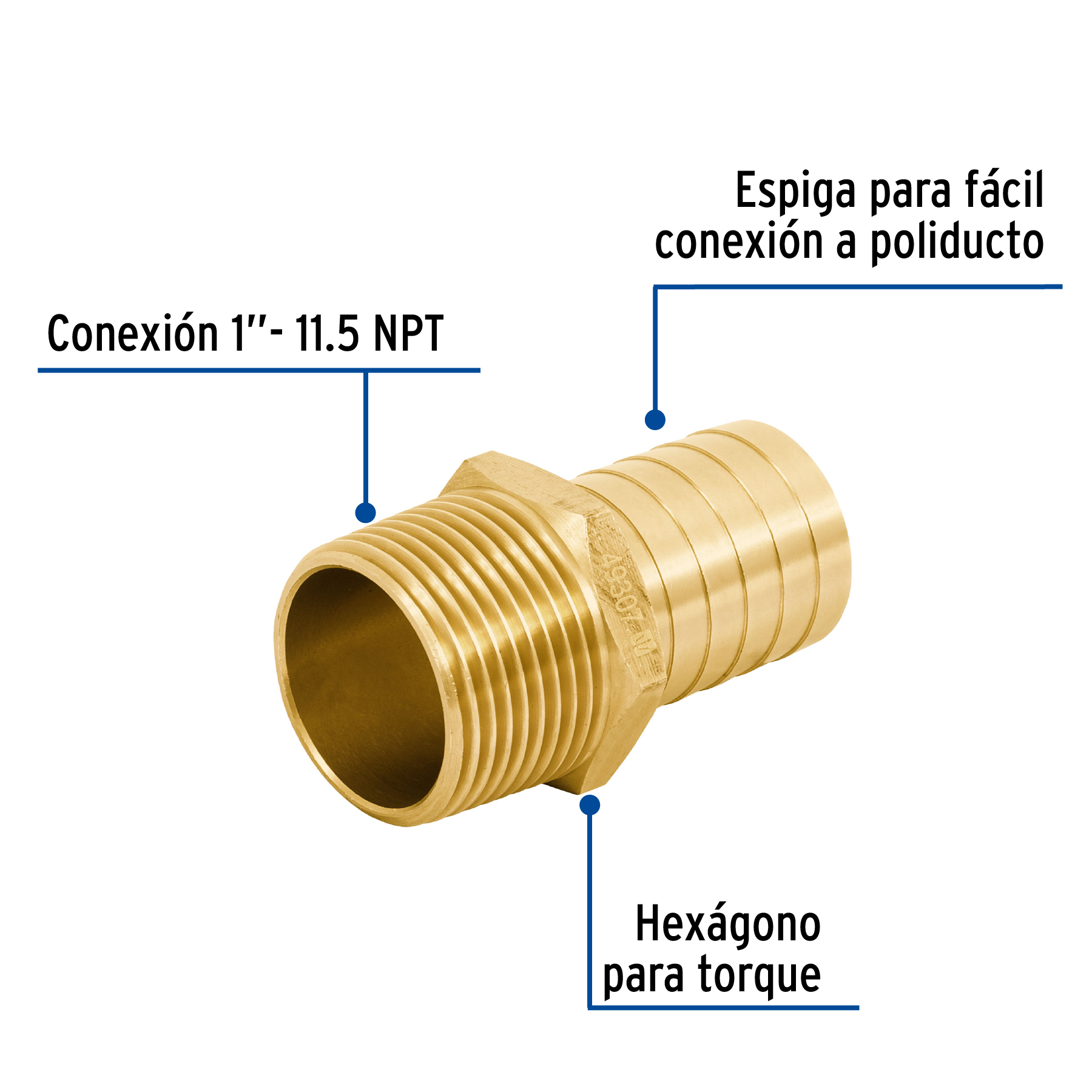 Adaptador macho de latón 1' para manguera, FOSET - Imagen 3