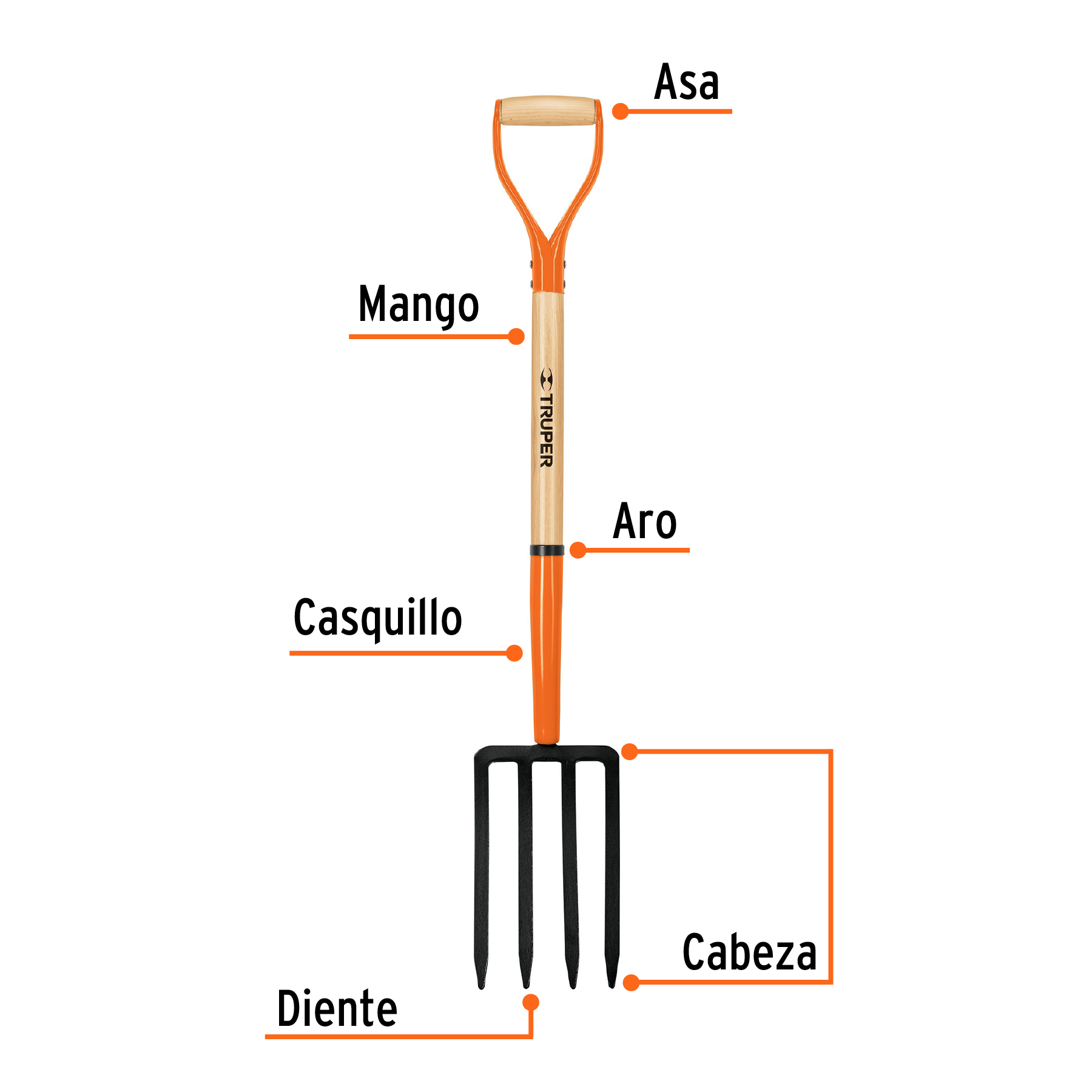 Bieldo para jardín, 4 dientes, mgo 34', puño 'Y', TRUPER - Imagen 3