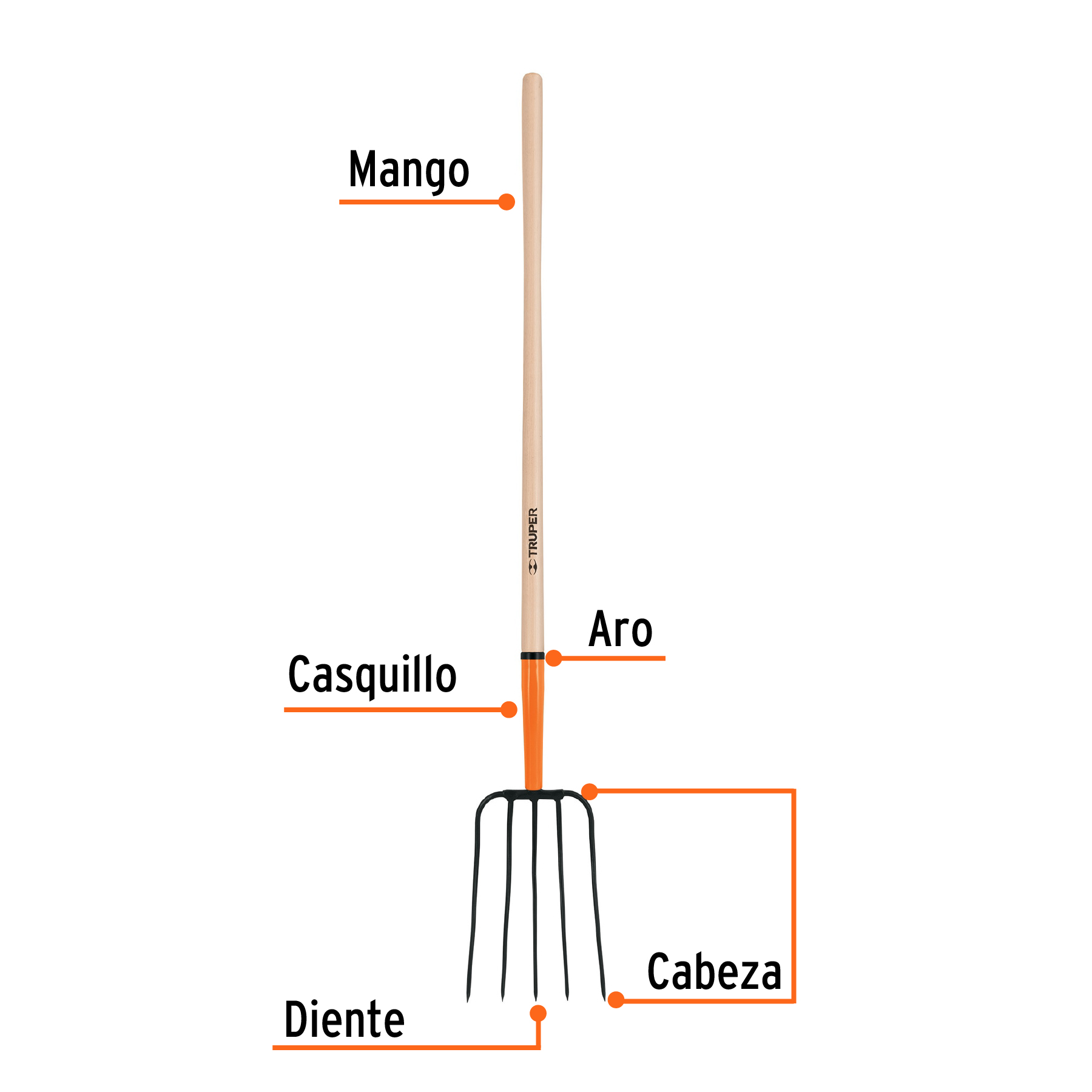 Bieldo para paja, 5 dientes, mango largo 48', TRUPER - Imagen 3