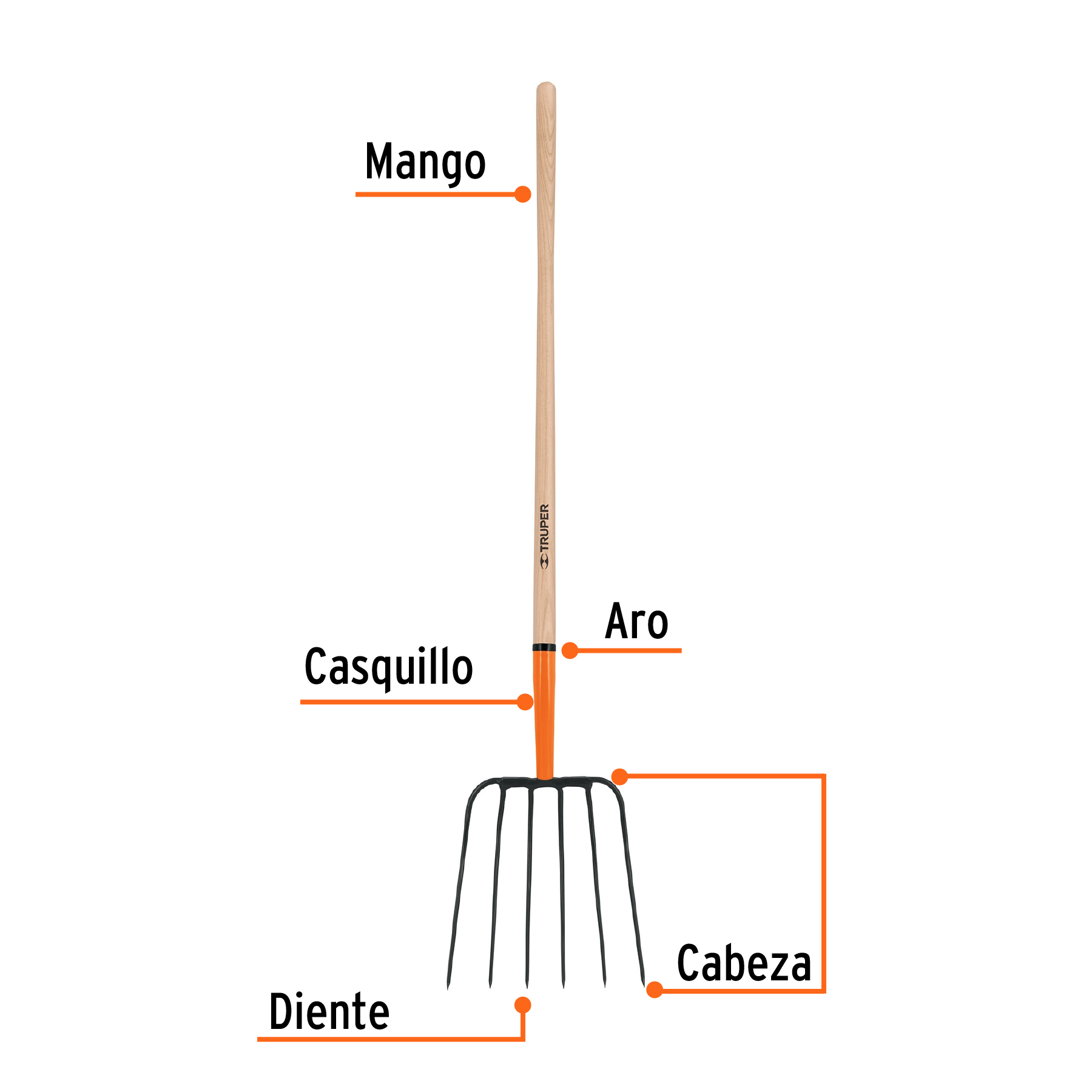 Bieldo para paja, 6 dientes, mango largo 48', TRUPER - Imagen 3