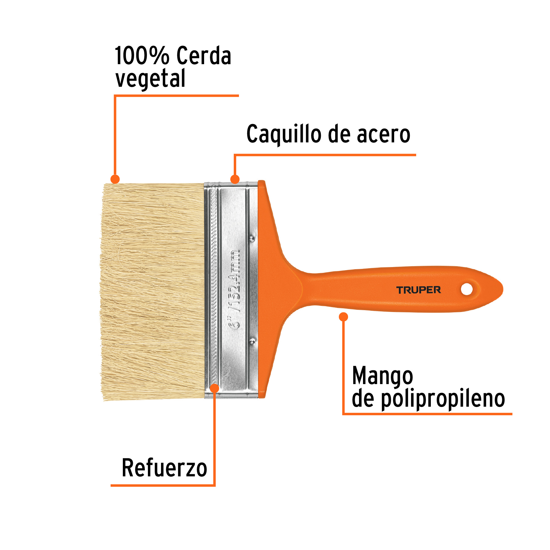 Brocha para encalar e impermeabilizar de 6', mango plástico - Imagen 3