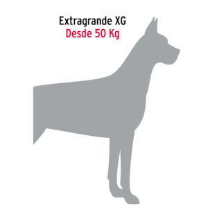 Cadena de paseo para perro de 1.2 m x 5 mm, FIERO - Imagen 5