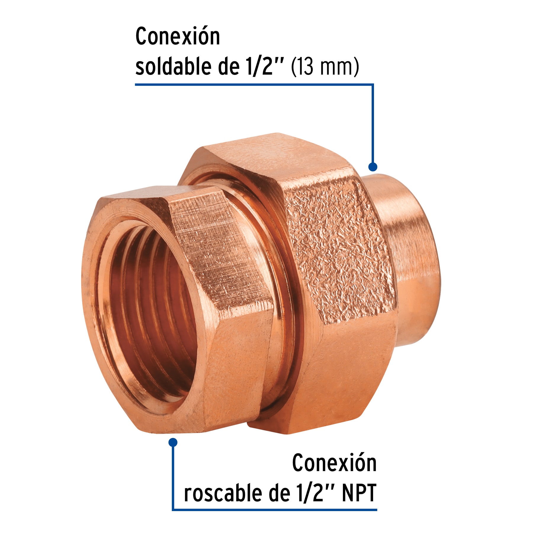 Tuerca unión latón cobrizado 1/2' rosca interior, FOSET - Imagen 3