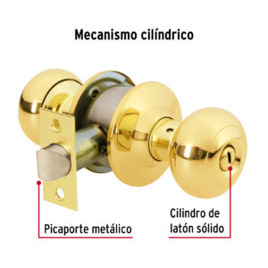 Cerradura tipo oval para baño, latón brillante, HERMEX - Imagen 4