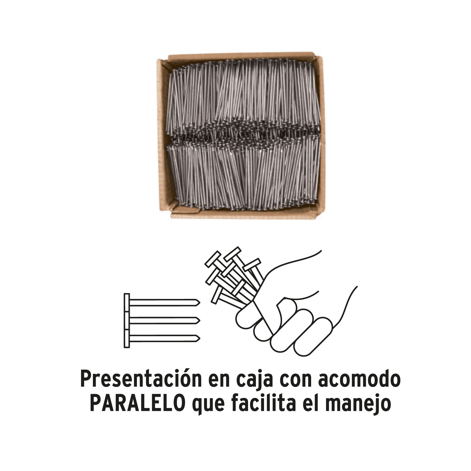 Kilo de clavo estándar 3' con cabeza en caja de 10 kg, FIERO - Imagen 4