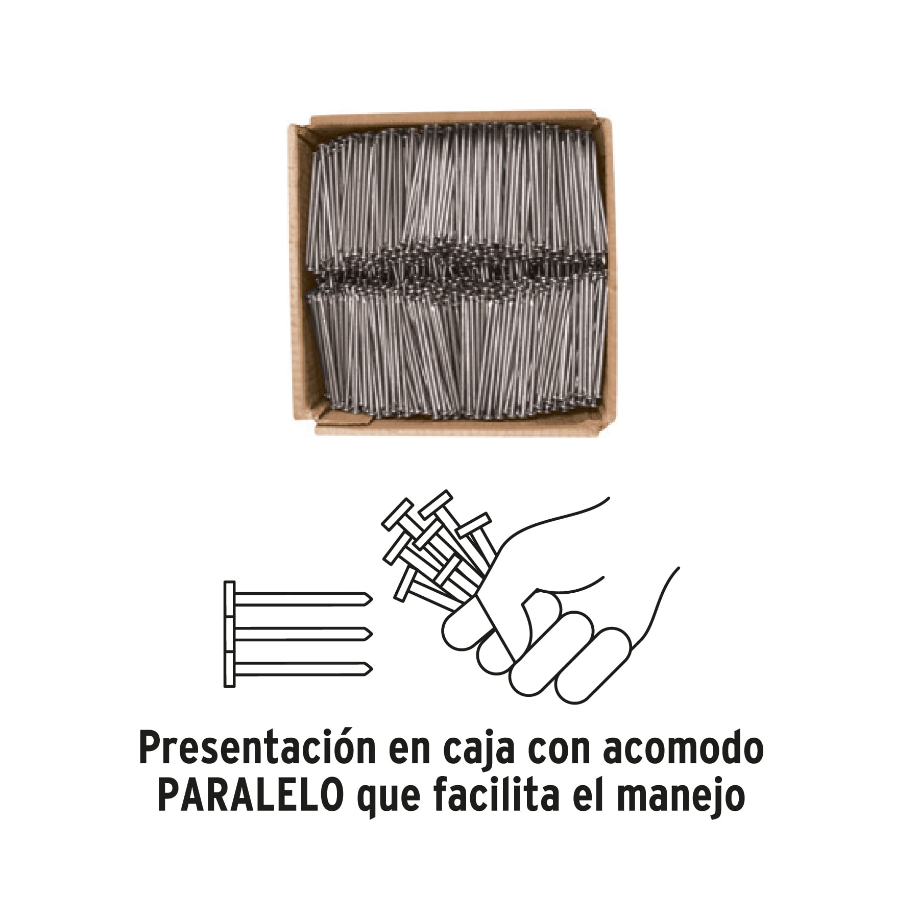 Kilo de clavo estándar 5' con cabeza en caja de 10 kg, FIERO - Imagen 4