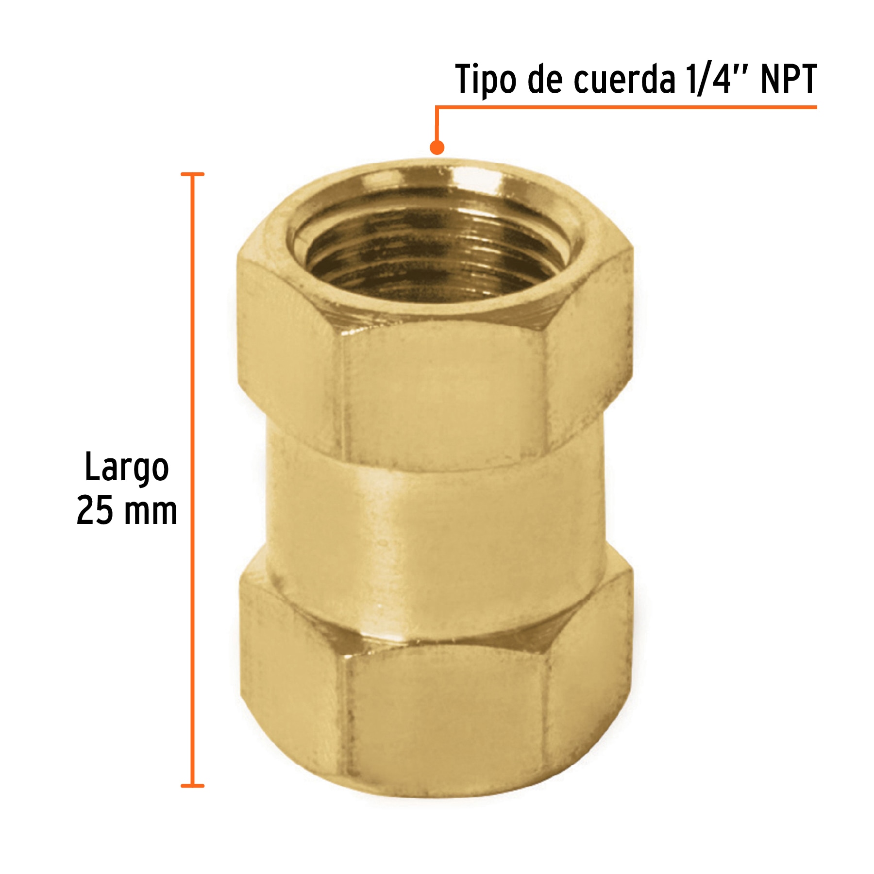 Cople de latón, hembra-hembra, cuerda 1/4' NPT, TRUPER - Imagen 3
