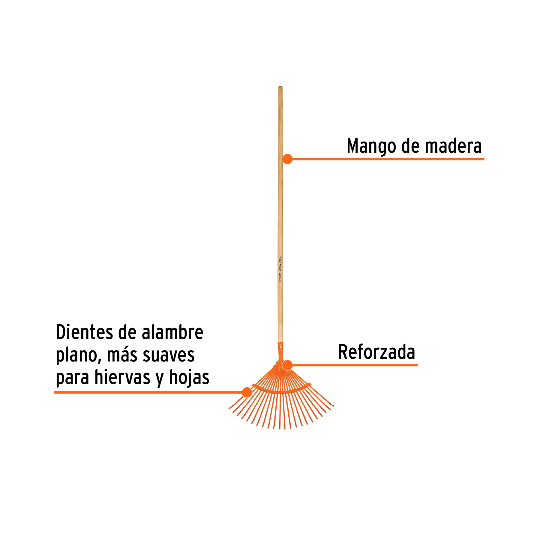 Escoba metálica para jardín, curva, 22 dientes, mango 48' - Imagen 4