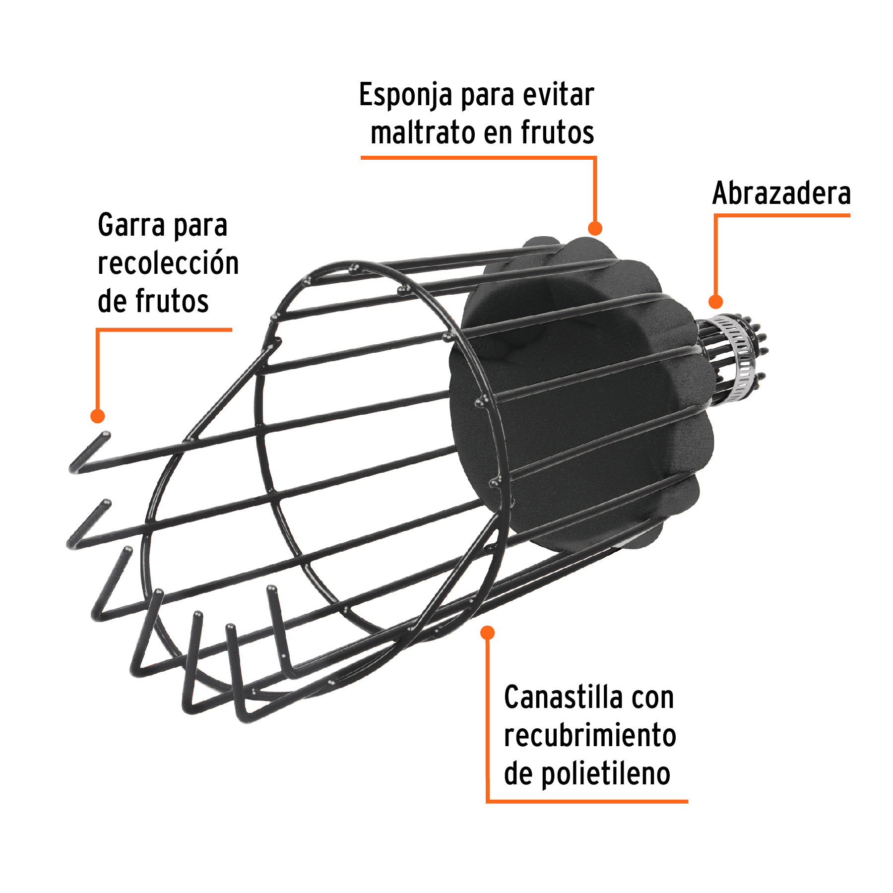 Recolector de fruta, sin mango, TRUPER - Imagen 3