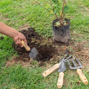 Juego de 4 herramientas, mangos de 6' para jardín, TRUPER - Imagen 3