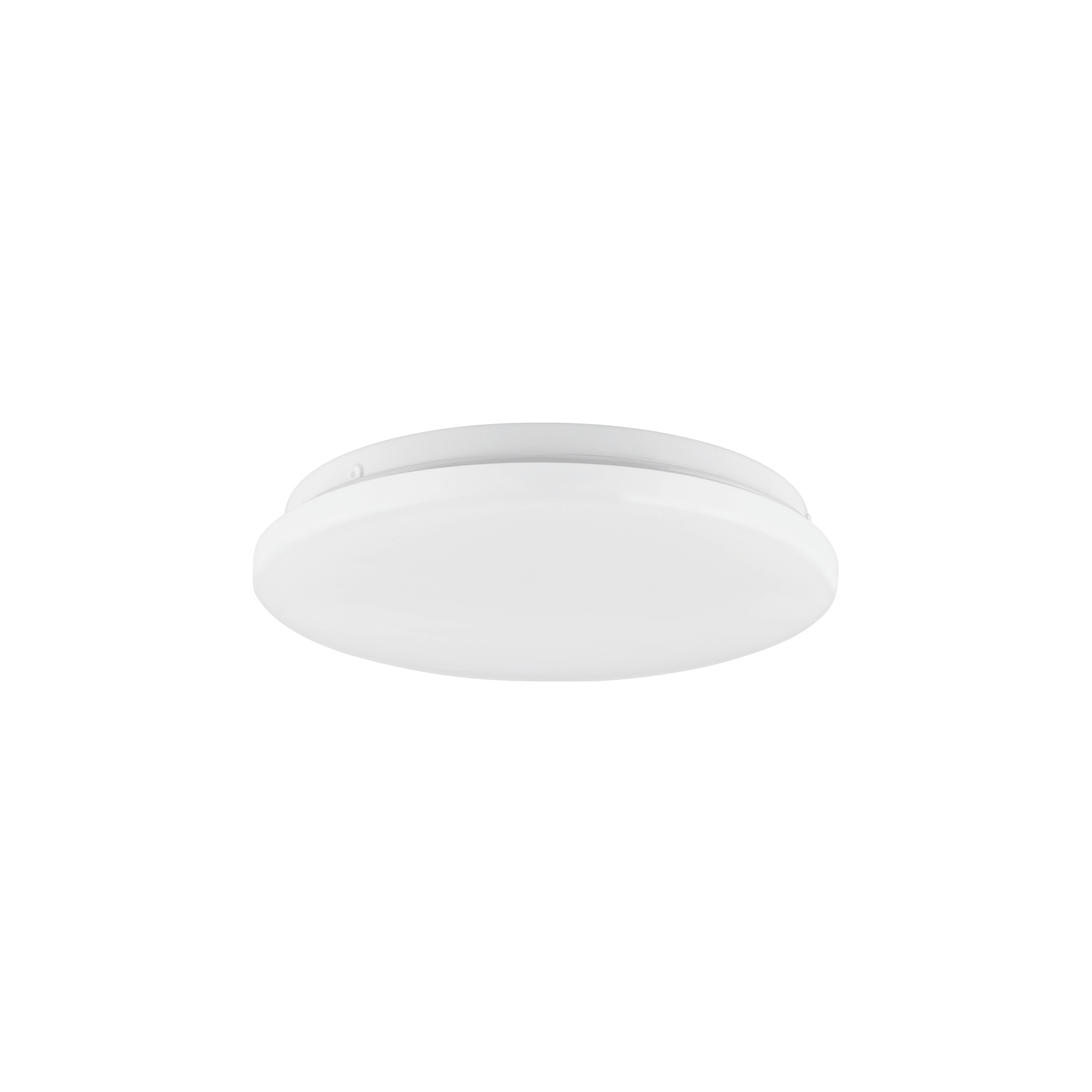 Luminario LED plafón decorativo 8W 6500K, liso, BASIC - Imagen 2