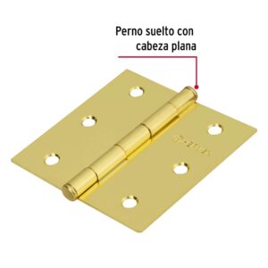 Alternative view of Bisagra cuadrada 3', latonado, cabeza plana, HERMEX BASIC
