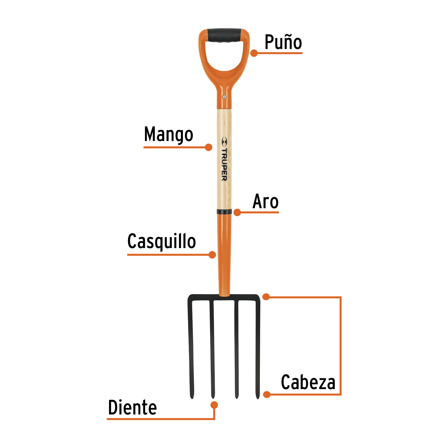Bieldo para jardín, 4 dientes cuadrados, mango 29', puño 'Y' - Imagen 2