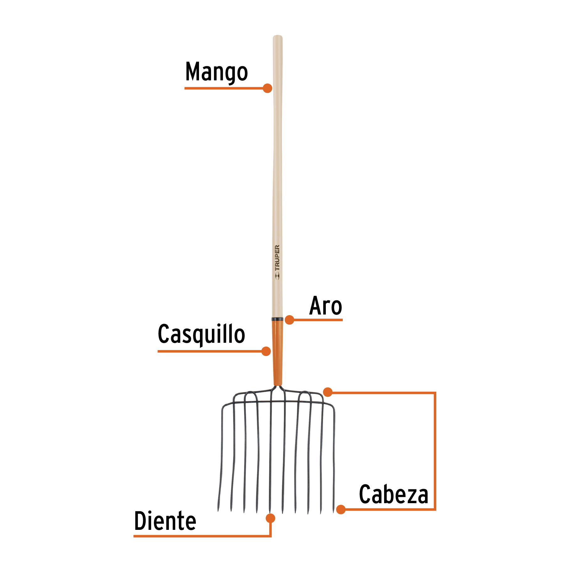 Bieldo para estiércol, 10 dientes, mango 48', cabeza soldada - Imagen 2