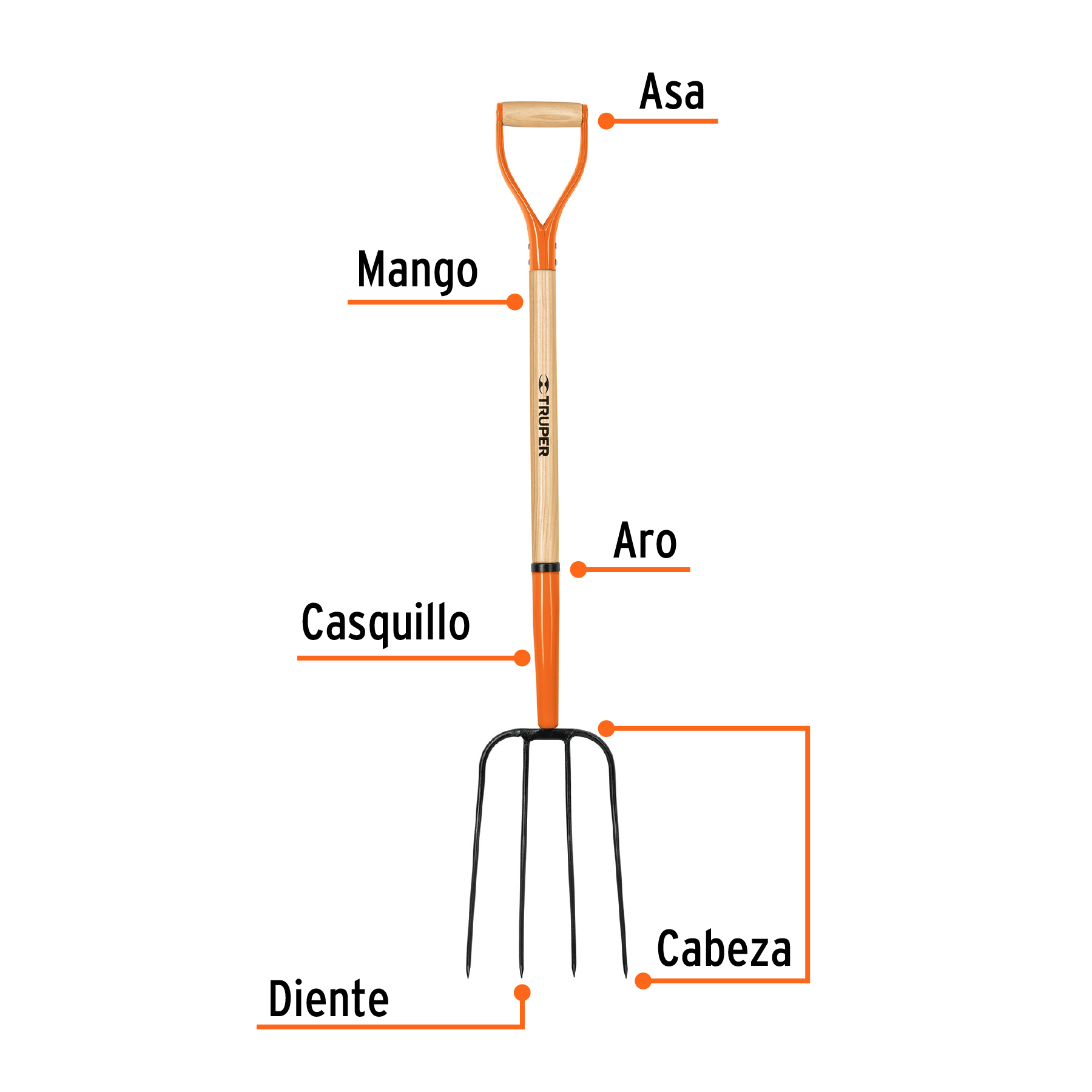 Bieldo para paja, 4 dientes, mango 34', puño 'Y', TRUPER - Imagen 2