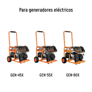 Alternative view of Bolsa con 2 carbones para generadores Grupo 7, TRUPER